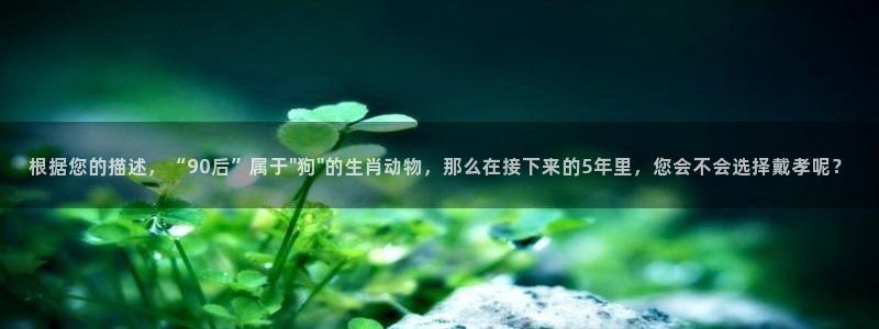 澳客网(官网)