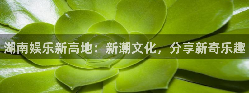 澳客app下载 安卓版