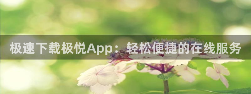 澳客足球比赛官网