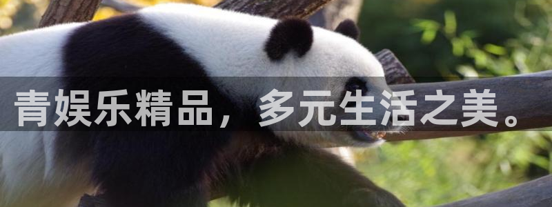 新版澳客官方