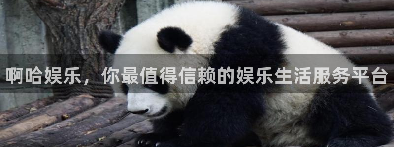 澳客okooo旧版