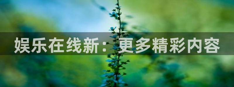 足球比分澳客