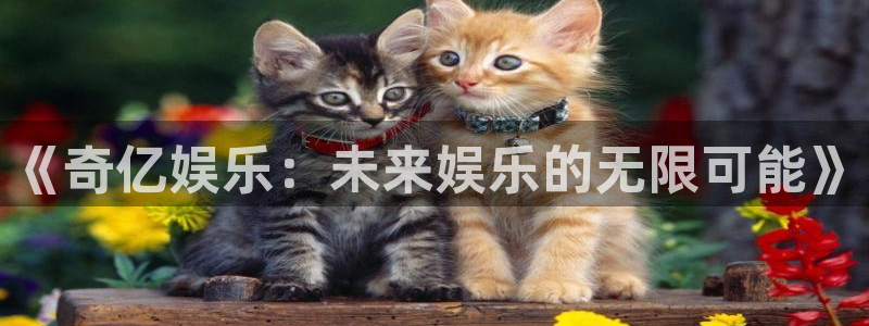澳客网客户端