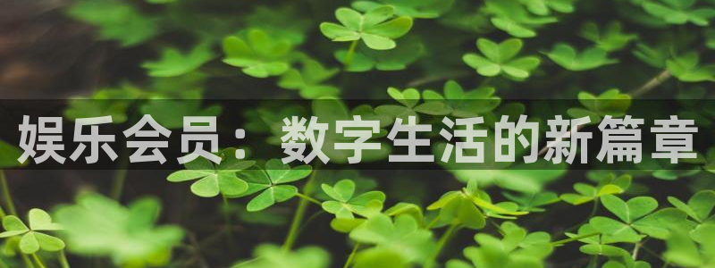 澳客网网站