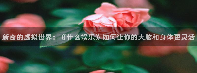 澳客比分直播即时比分：新奇的虚拟世界：《什么娱乐》如何让你的大脑和身体更灵活