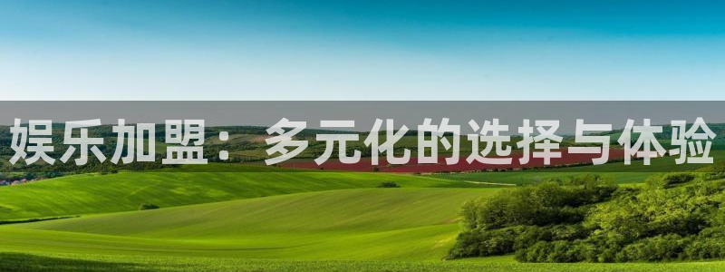 澳客足球app下载官网手机版：娱乐加盟：多元化的选择与体验