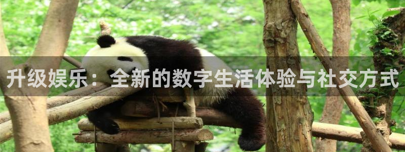 澳客足球网竞彩网官网首页下载手机版