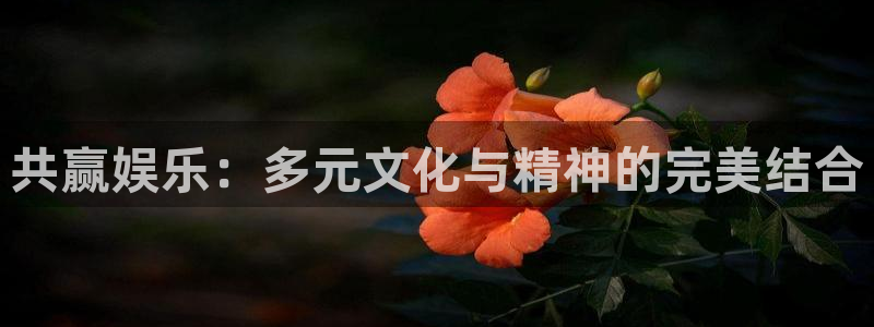 澳客彩网澳客彩网官网
