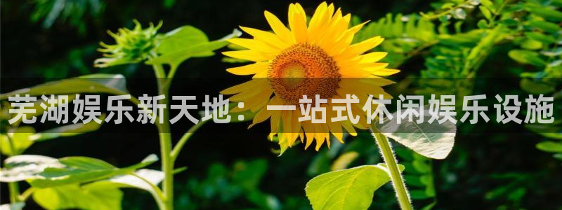 澳客官网首页