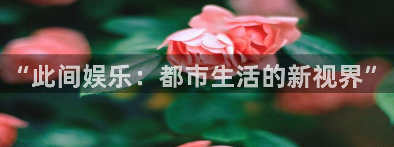 胜平负澳客官网