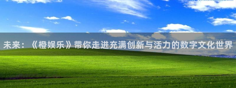 澳客足球比分网