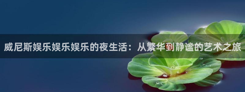 okoo澳客首页：威尼斯娱乐娱乐娱乐的夜生活：从繁华到静谧的艺术之旅