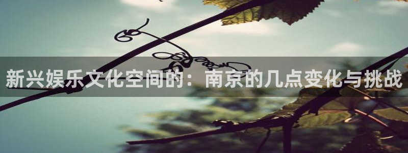 澳客中国竞彩网首页官网：新兴娱乐文化空间的：南京的几点变化与挑战