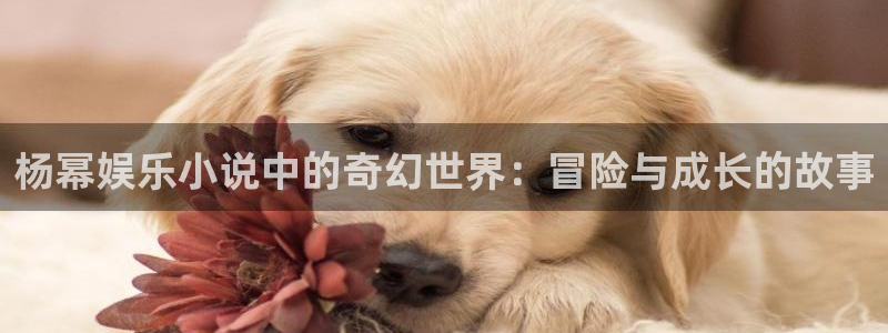 足球澳客比分：杨幂娱乐小说中的奇幻世界：冒险与成长的故事